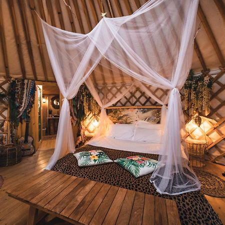 2 Cuori E 1 Yurta Glamping In Tuscany - Adults Only Asciano Exteriör bild