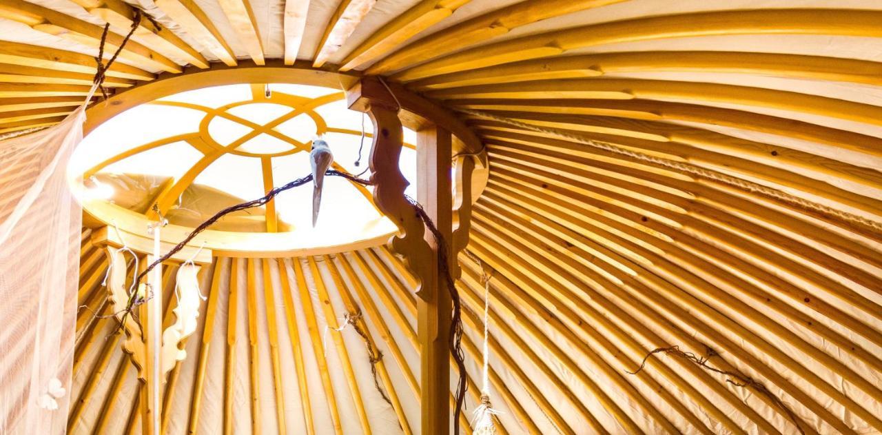 2 Cuori E 1 Yurta Glamping In Tuscany - Adults Only Asciano Exteriör bild
